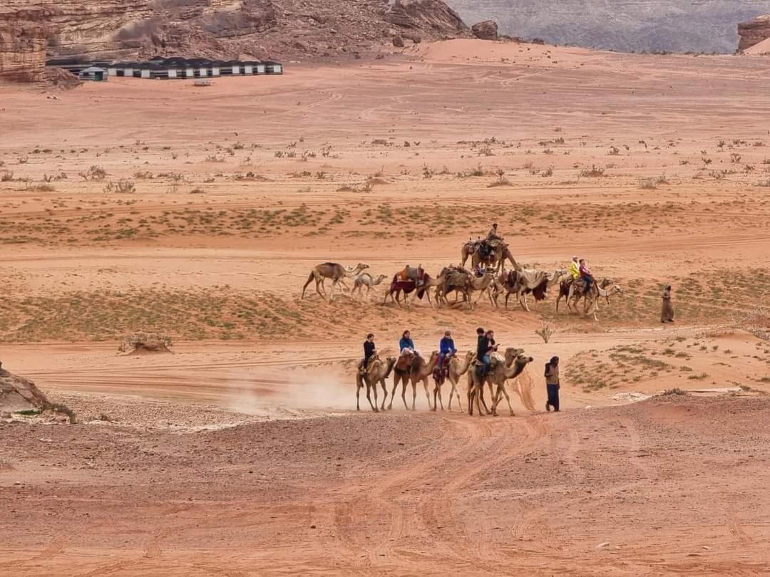 Shaheen Camp Ram Vadisi Dış mekan fotoğraf